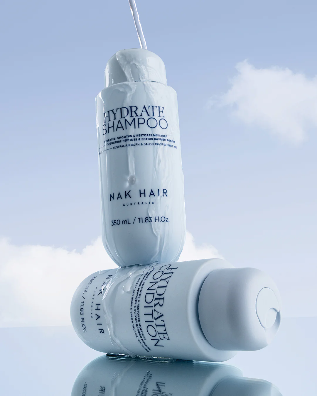 Hydrate Condition - Image 8
