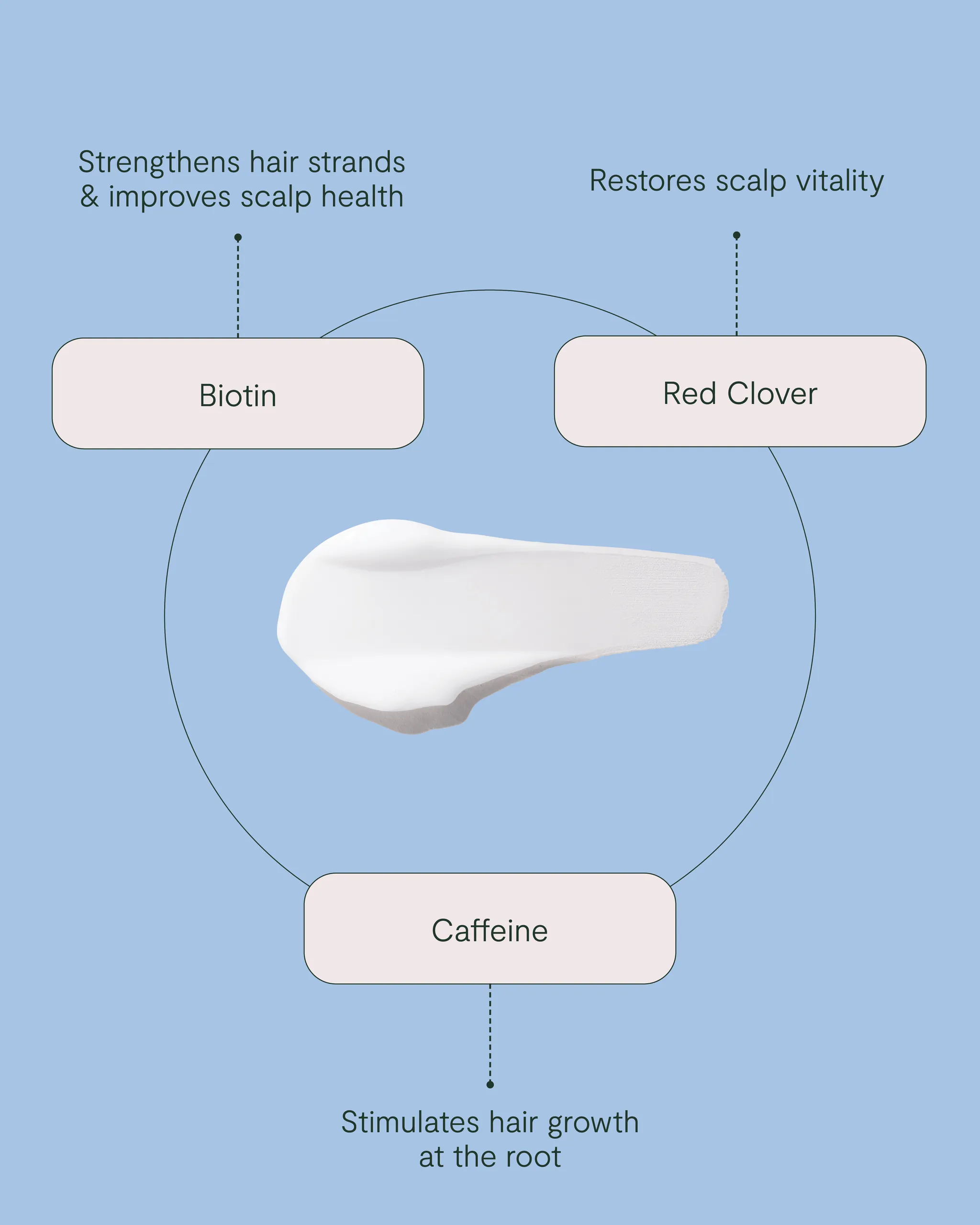 Purify & Plump Condition - Image 3