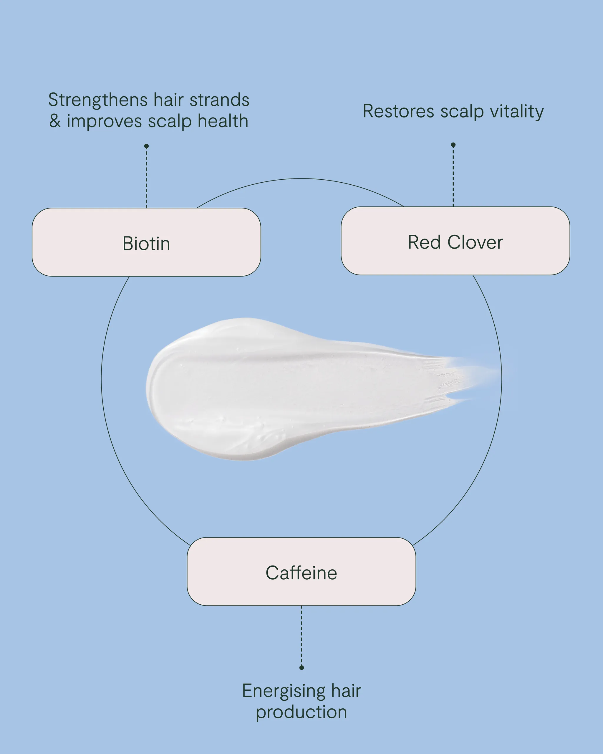 Purify & Plump Wash - Image 4
